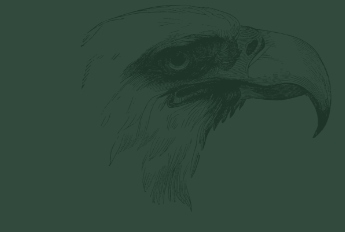 Toth Eagle Head